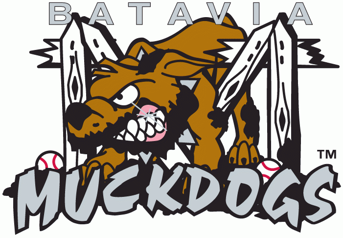 Batavia Muckdogs 1998-Pres Primary Logo iron on transfers for clothing
